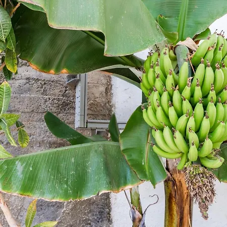 Aparthotel Palm Puerto Rico (Gran Canaria)