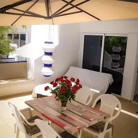 Palm Puerto Rico (Gran Canaria)